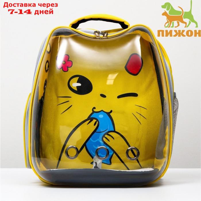 Рюкзак для переноски животных "Котик", прозрачный, 34 х 25 х 40 см, жёлтый - фото 1 - id-p209294962