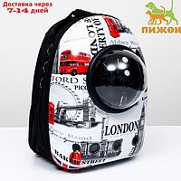 Рюкзак для переноски животных с окном для обзора "Лондон" , 32 х 25 х 42 см