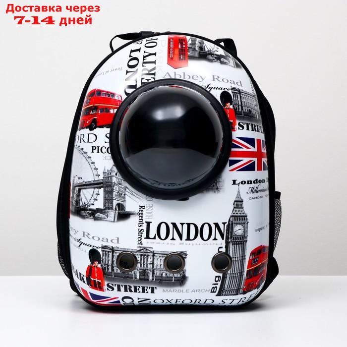 Рюкзак для переноски животных с окном для обзора "Лондон" , 32 х 25 х 42 см - фото 2 - id-p209294963
