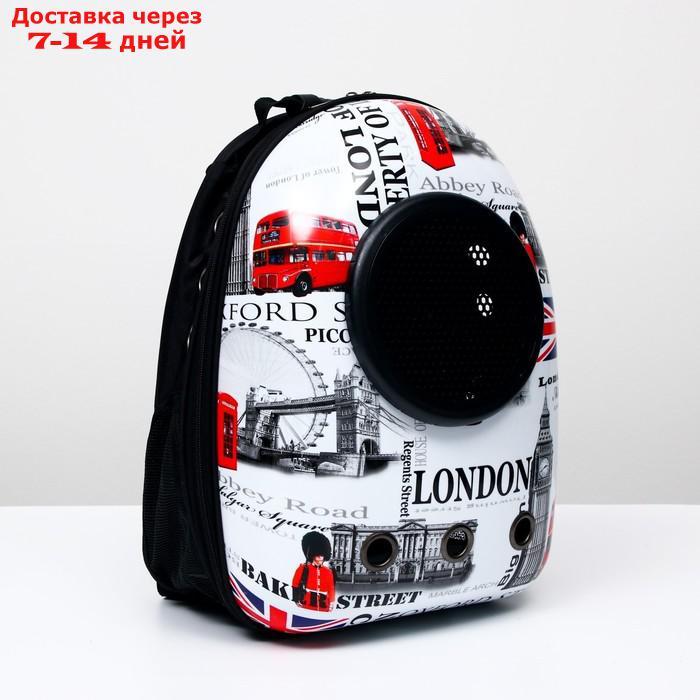 Рюкзак для переноски животных с окном для обзора "Лондон" , 32 х 25 х 42 см - фото 9 - id-p209294963