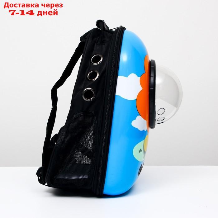 Рюкзак для переноски животных с окном для обзора "Лев", 32 х 25 х 42 см, голубой - фото 4 - id-p209294964