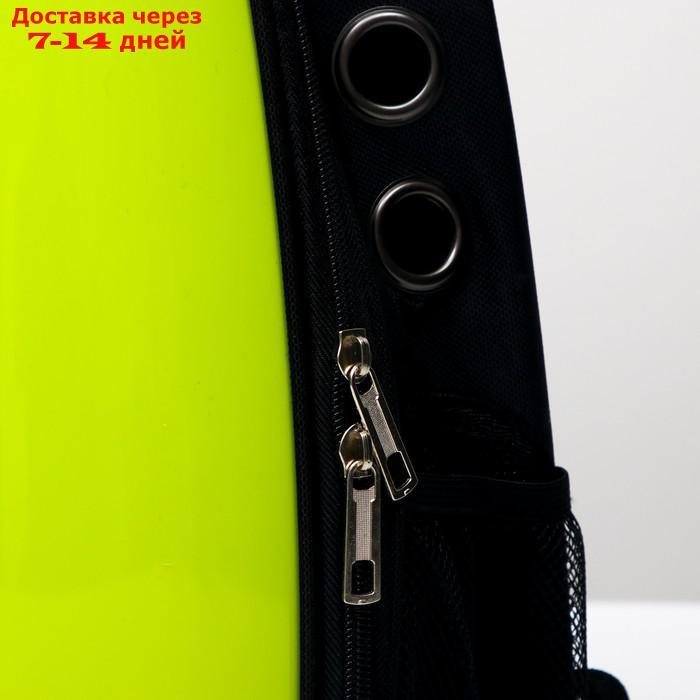 Рюкзак для переноски животных с окном для обзора "Кактус", 32 х 25 х 42 см - фото 4 - id-p209294965