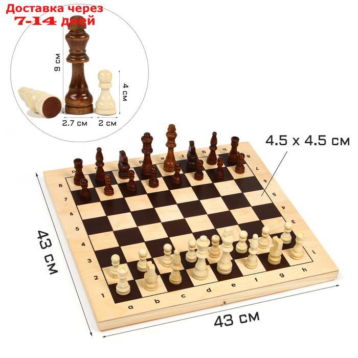 Шахматы гроссмейстерские (доска дерево 43х43 см, фигуры дерево, король h=9 см) ) - фото 1 - id-p209297956