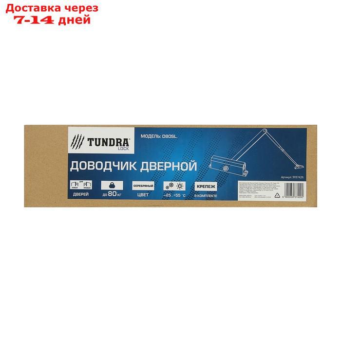 Доводчик дверной TUNDRA D80SL, до 80 кг, цвет серебро - фото 4 - id-p209296008