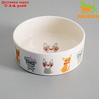 Миска керамическая "Важный пес", 11,5 х 5 см, белая