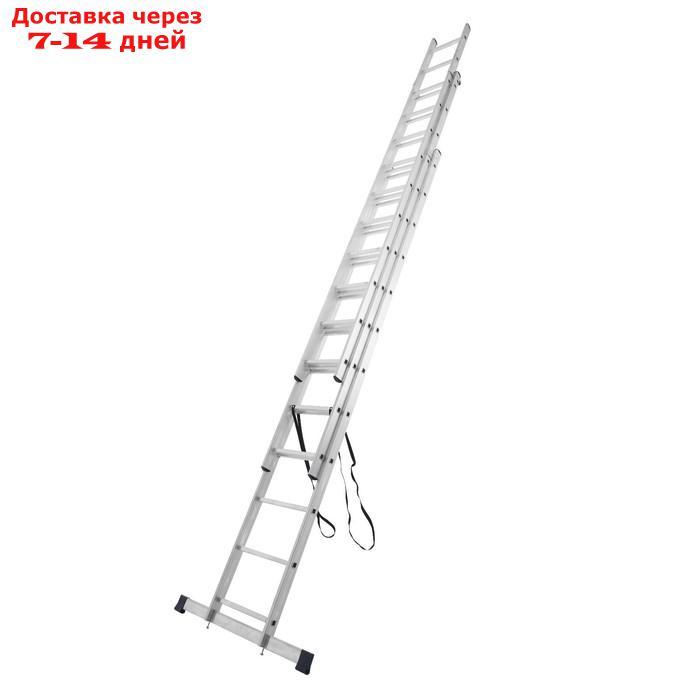 Лестница TUNDRA, трехсекционная, алюминиевая, 12 ступеней - фото 1 - id-p209301978