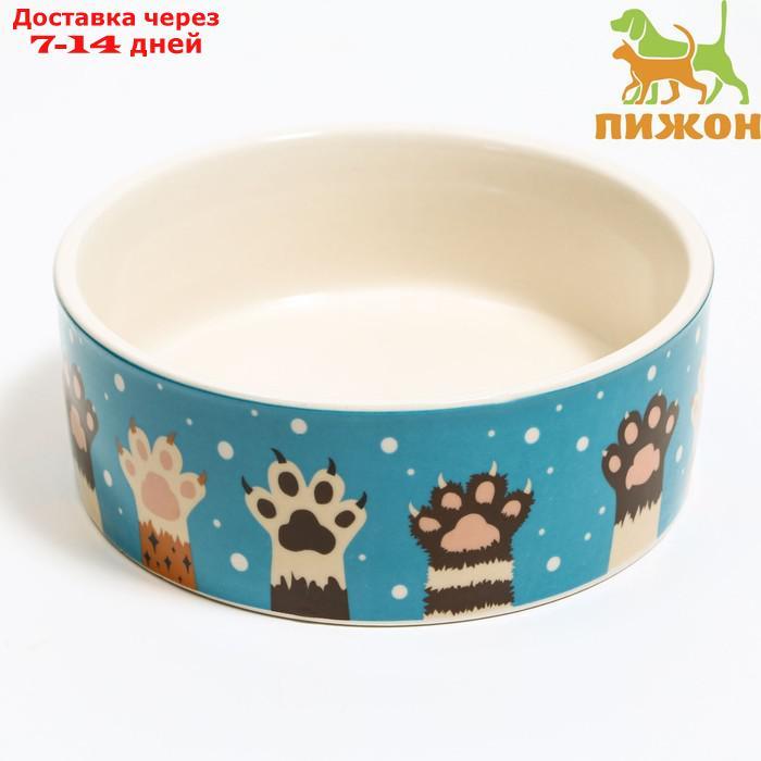 Миска керамическая "Лапы", 11,5 х 5 см, бело-голубая - фото 1 - id-p209303947