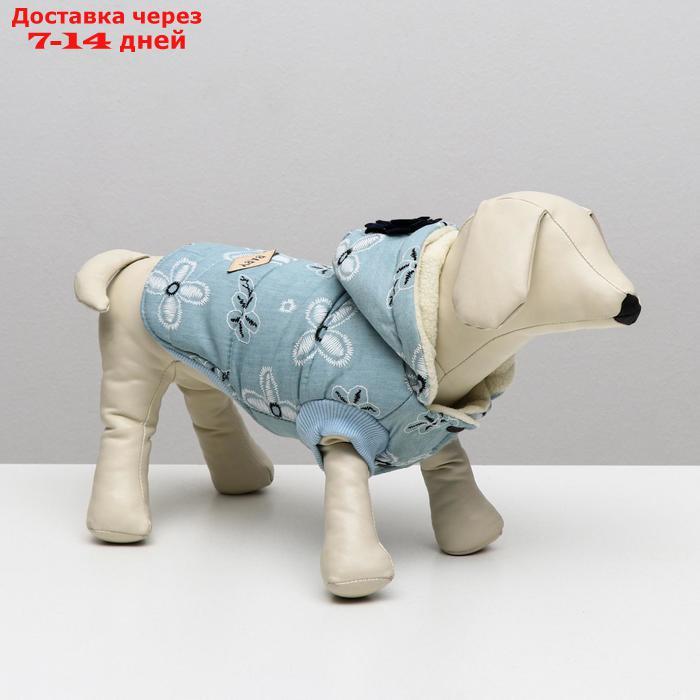 Куртка для собак с цветами, S (ДС 20 см, ОШ 23 см, ОГ 32 см), голубая - фото 1 - id-p209296070