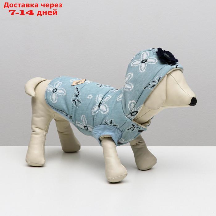 Куртка для собак с цветами, S (ДС 20 см, ОШ 23 см, ОГ 32 см), голубая - фото 3 - id-p209296070