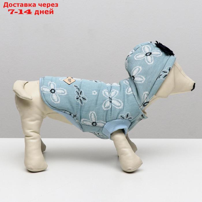 Куртка для собак с цветами, S (ДС 20 см, ОШ 23 см, ОГ 32 см), голубая - фото 4 - id-p209296070