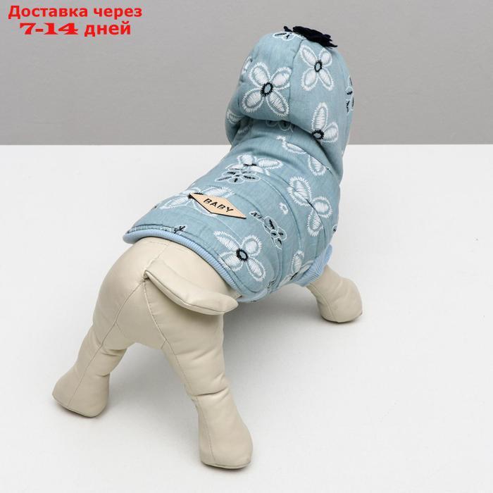 Куртка для собак с цветами, S (ДС 20 см, ОШ 23 см, ОГ 32 см), голубая - фото 5 - id-p209296070