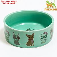 Миска керамическая "Важный пес", 11,5 х 5 см, мятная