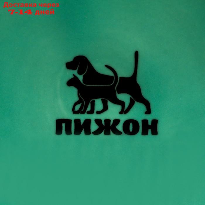 Миска керамическая "Важный пес", 11,5 х 5 см, мятная - фото 5 - id-p209303962