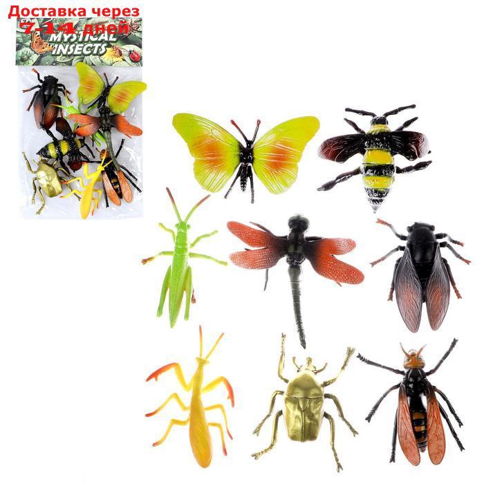 Набор насекомых "Лес", 8 фигурок, длина 12 см - фото 1 - id-p209303991