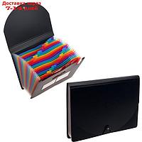 Папка на резинке формат А4, черная, 24 отделения разноцветных