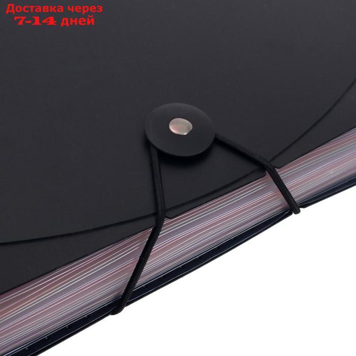 Папка на резинке формат А4, черная, 24 отделения разноцветных - фото 4 - id-p209298078