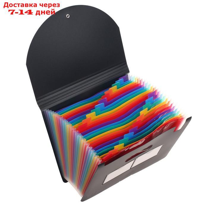 Папка на резинке формат А4, черная, 24 отделения разноцветных - фото 5 - id-p209298078