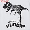Пижама (футболка, брюки) KAFTAN "Динозавры" рост 98-104 (30), фото 8