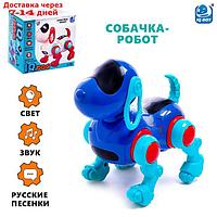 Собака IQ DOG, ходит, поёт, работает от батареек, цвет синий