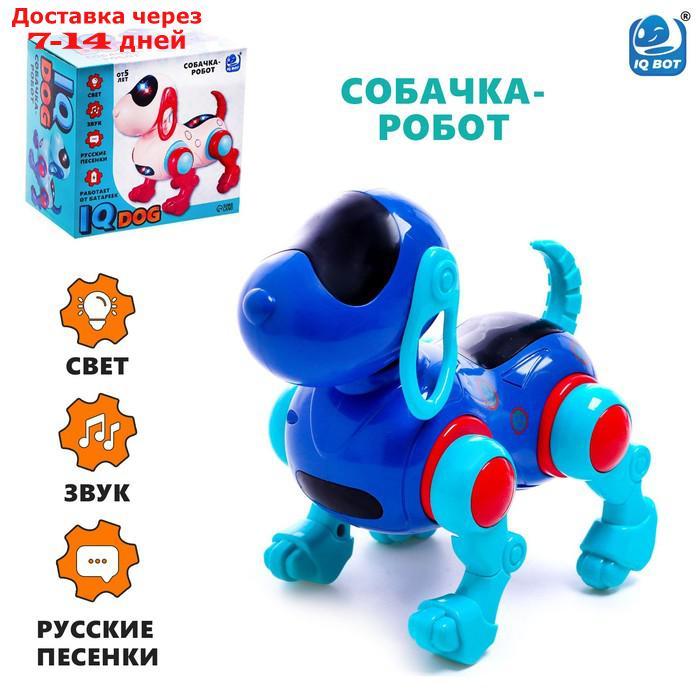 Собака IQ DOG, ходит, поёт, работает от батареек, цвет синий - фото 1 - id-p209296150