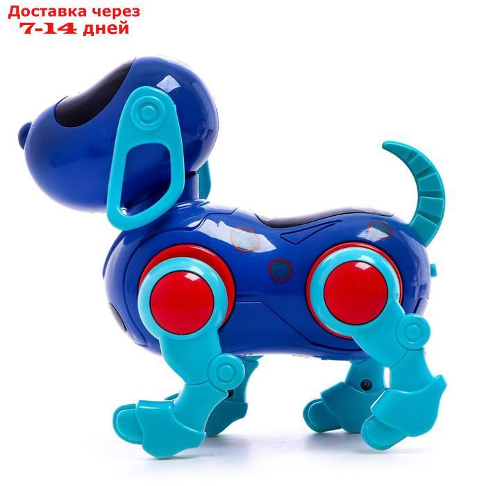 Собака IQ DOG, ходит, поёт, работает от батареек, цвет синий - фото 3 - id-p209296150