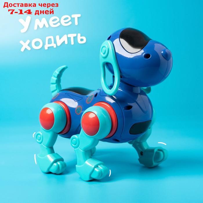 Собака IQ DOG, ходит, поёт, работает от батареек, цвет синий - фото 5 - id-p209296150