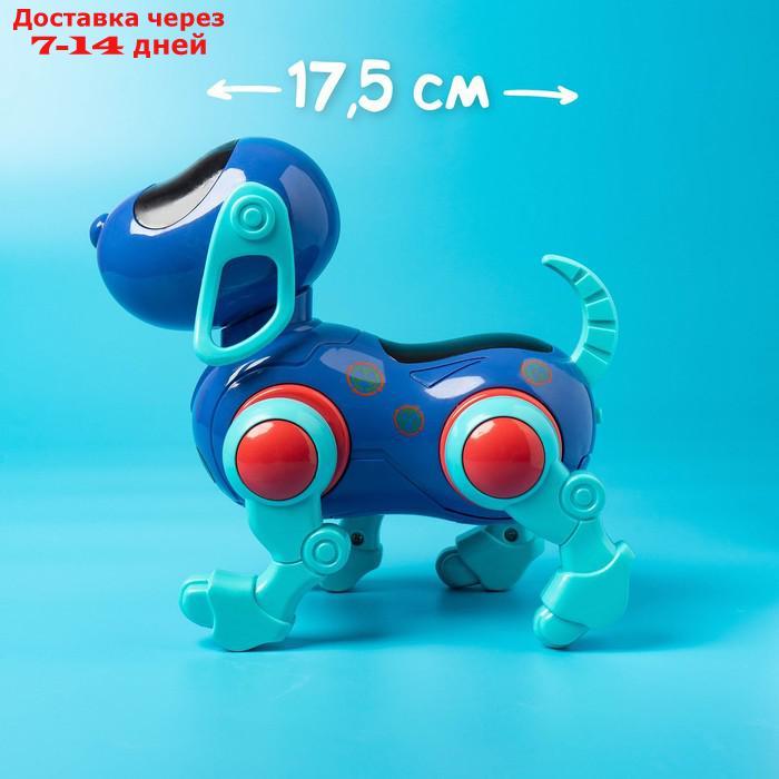 Собака IQ DOG, ходит, поёт, работает от батареек, цвет синий - фото 6 - id-p209296150