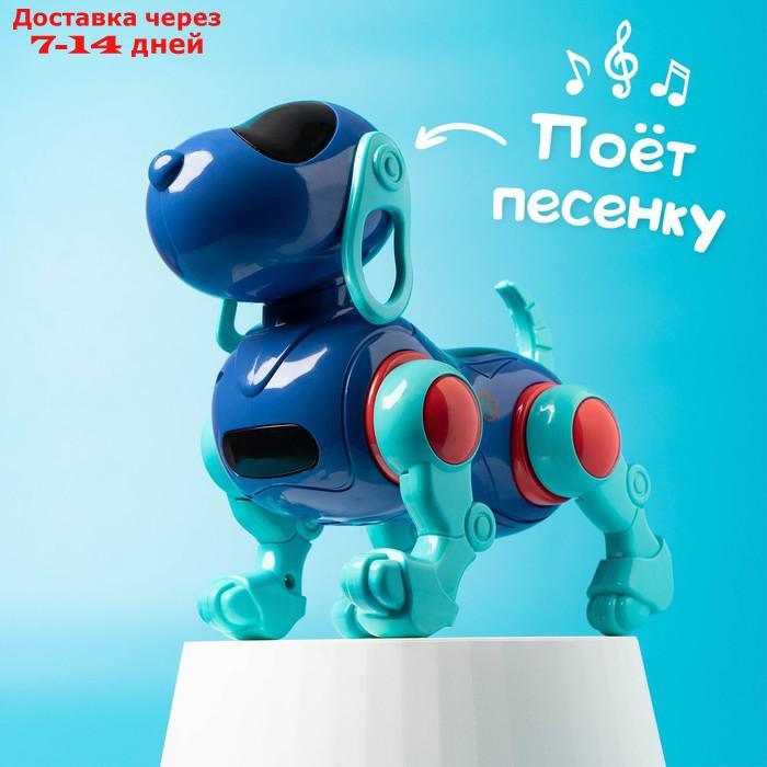 Собака IQ DOG, ходит, поёт, работает от батареек, цвет синий - фото 7 - id-p209296150