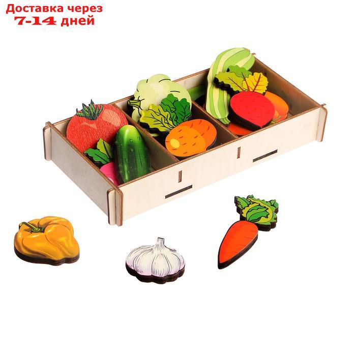 Набор "Овощи на магнитах" в коробке 16 дет. арт.8404 - фото 2 - id-p209296165