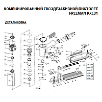 Уплотнительное кольцо (№10) для Freeman PXL31