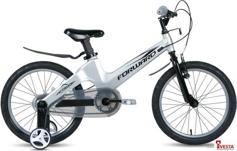 Детские велосипеды Forward Cosmo 18 2.0 2021 (серебристый) - фото 1 - id-p207650211