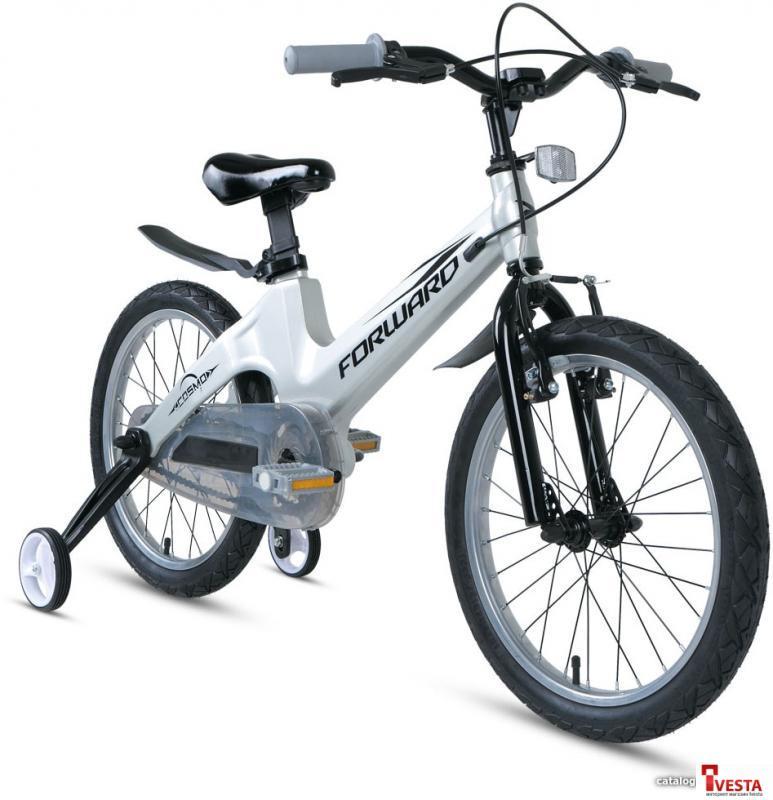 Детские велосипеды Forward Cosmo 18 2.0 2021 (серебристый) - фото 2 - id-p207650211
