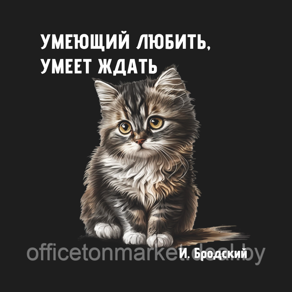 Футболка оверсайз унисекс "Berlin. Умеющий любить, умеет ждать", XL-2XL, темно-серый - фото 5 - id-p207126533