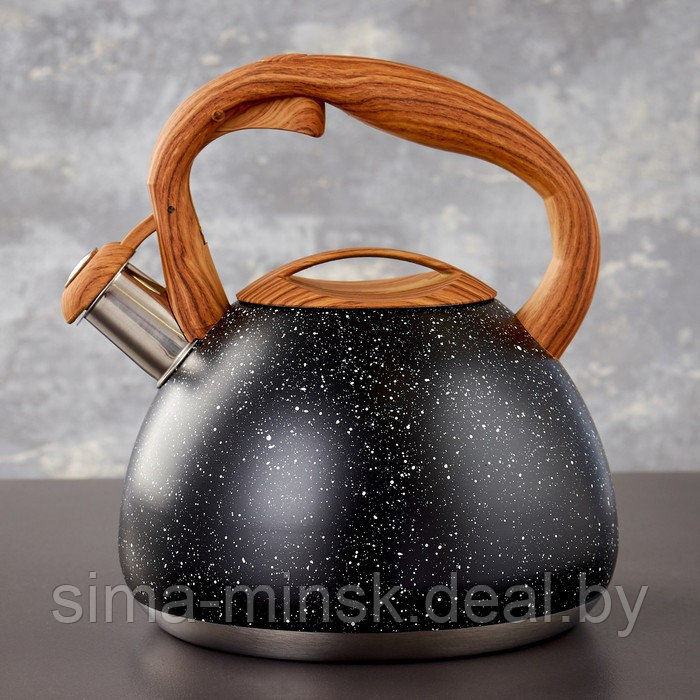 Чайник со свистком из нержавеющей стали Magistro Stone, 2,7 л, ручка soft-touch, индукция, цвет чёрный - фото 1 - id-p209777347