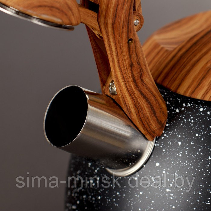 Чайник со свистком из нержавеющей стали Magistro Stone, 2,7 л, ручка soft-touch, индукция, цвет чёрный - фото 2 - id-p209777347