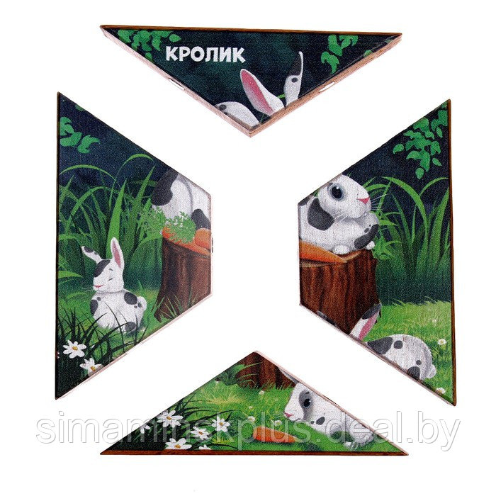 Магнитная головоломка по системе раннего развития Никитина «Кролик» - фото 3 - id-p209783578