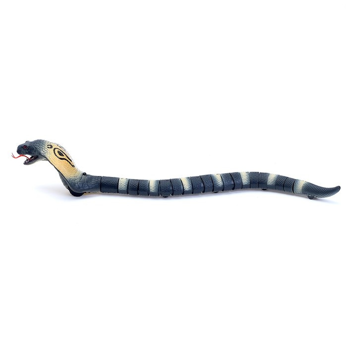 Змея радиоуправляемая «Королевская кобра», работает от аккумулятора - фото 3 - id-p209791725