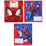 Подарочный набор первоклассника, 9 предметов, Человек-паук, фото 5