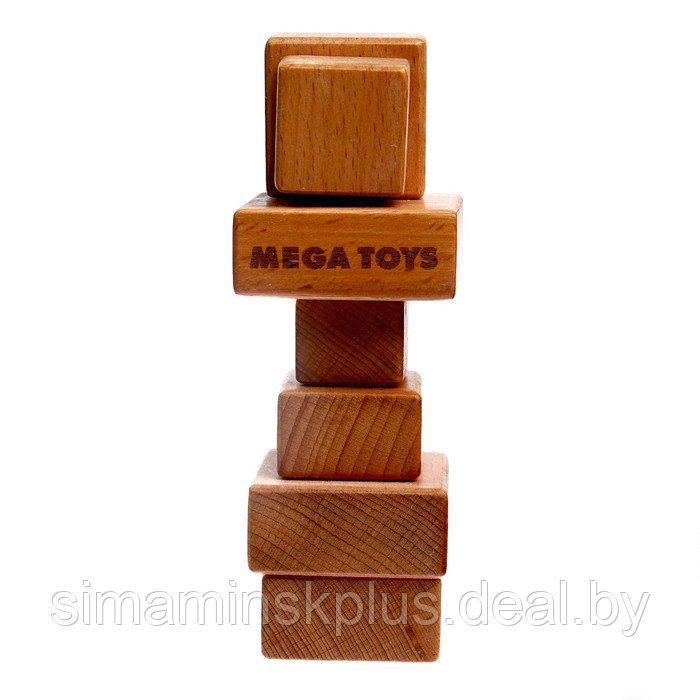 Игрушка деревянная «Магнитная пирамидка» - фото 6 - id-p209783786