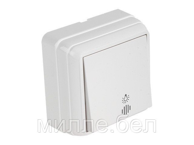Выключатель кнопочный (с подсветкой, открытый) белая, BRON, MUTLUSAN (кнопка дверного звонка 10 A, 250 V, IP - фото 1 - id-p209827567