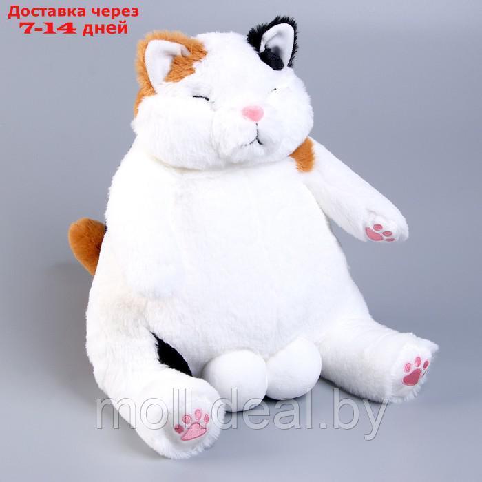 Мягкая игрушка "Кот", 35 см, цвет белый - фото 1 - id-p209759843