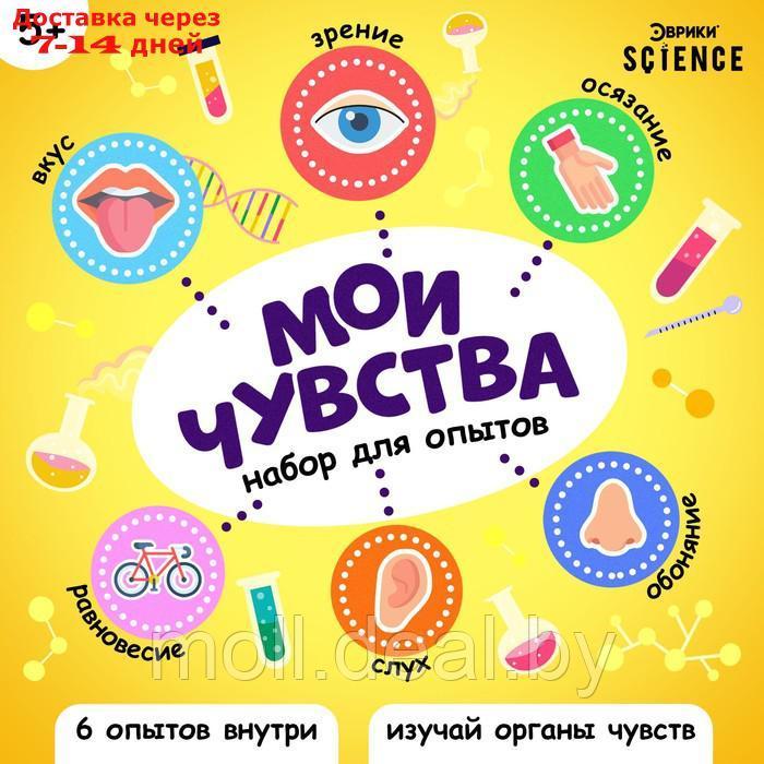 Набор для опытов "Мои чувства"