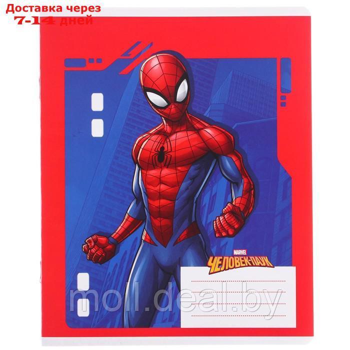 Набор первоклассника в папке, Человек-паук, 40 предметов - фото 10 - id-p209756918