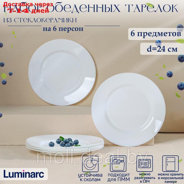 Набор обеденных тарелок EVERYDAY, d=24 см, стеклокерамика, 6 шт - фото 1 - id-p209758983