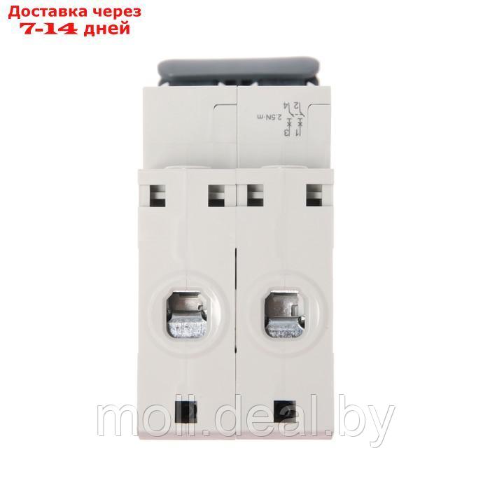 Автоматический выключатель SE City9 Set, С, 16 А, 2P, 4.5 kA, 230 В - фото 5 - id-p209821192