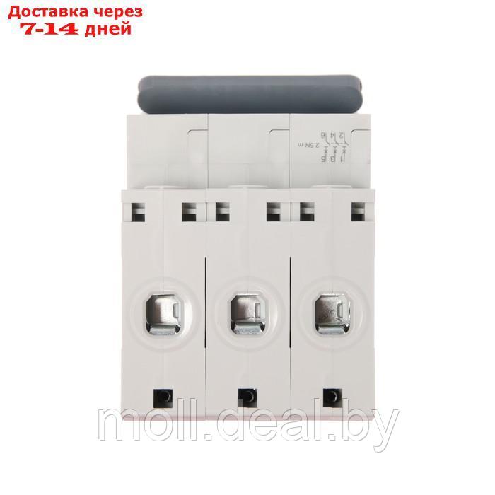 Автоматический выключатель SE City9 Set, С, 20 А, 3P, 4.5 kA, 400 В - фото 5 - id-p209821193