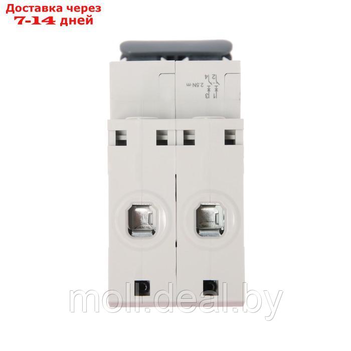 Автоматический выключатель SE City9 Set, С, 32 А, 2P, 4.5 kA, 230 В - фото 5 - id-p209821197