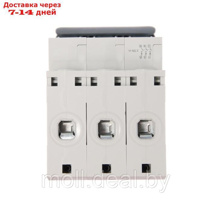 Автоматический выключатель SE City9 Set, С, 25 А, 3P, 4.5 kA, 400 В - фото 5 - id-p209821198