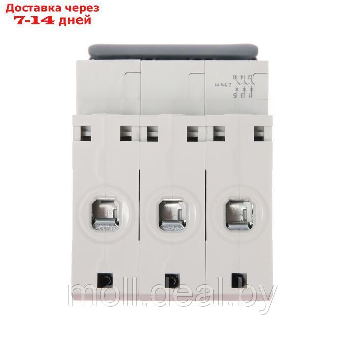 Автоматический выключатель SE City9 Set, С, 10 А, 3P, 4.5 kA, 400 В - фото 5 - id-p209821208