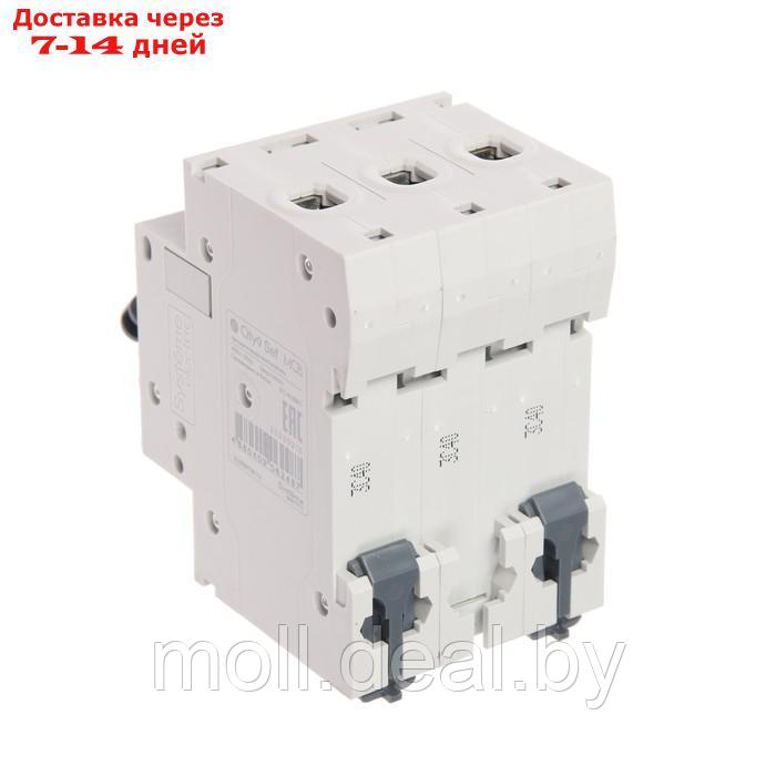 Автоматический выключатель SE City9 Set, С, 40 А, 3P, 4.5 kA, 400 В - фото 3 - id-p209821209